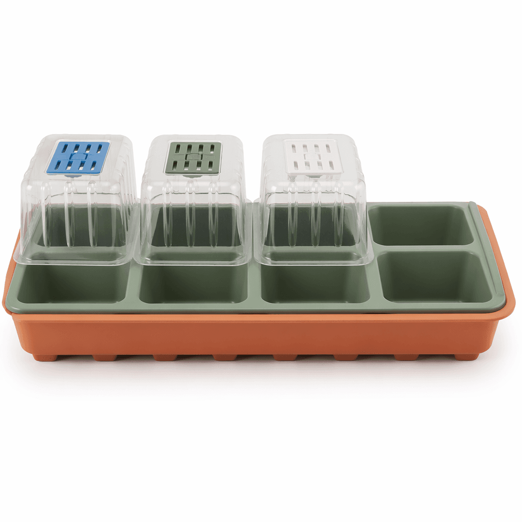 Seedling Dome Set